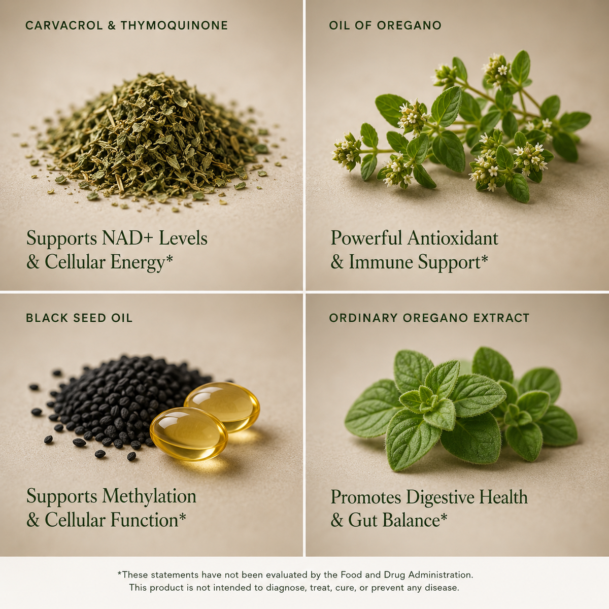 85% Carvacrol Oil of Oregano