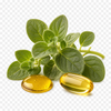 Oregano Oil 500mg