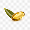 Olive Leaf Extract 250mg